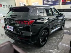 Ford Lingrui EcoBoost 170 Platinum Edition - ფოტო 6