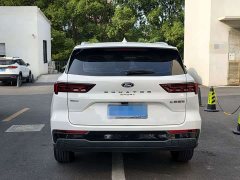 Ford Lingrui EcoBoost 170 Platinum Edition - ფოტო 8