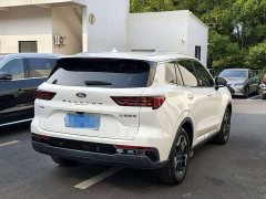 Ford Lingrui EcoBoost 170 Platinum Edition - ფოტო 9
