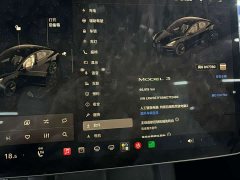 Tesla Model 3 Rear-Wheel Drive - ფოტო 4
