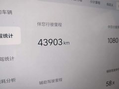 Li Auto L8 Pro - ფოტო 8