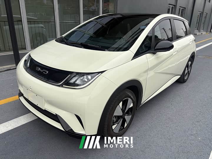 BYD Dolphin 420km Fashion Edition - ავტომობილი ჩინეთიდან