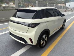 BYD Dolphin 420km Fashion Edition - ფოტო 10
