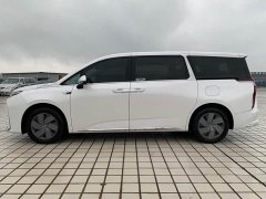 Maxus 9 Long Range Edition - ფოტო 11