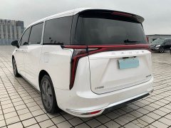 Maxus 9 Long Range Edition - ფოტო 4