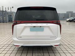 Maxus 9 Long Range Edition - ფოტო 5