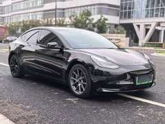 Tesla Model 3 Rear-Wheel Drive - ფოტო 3