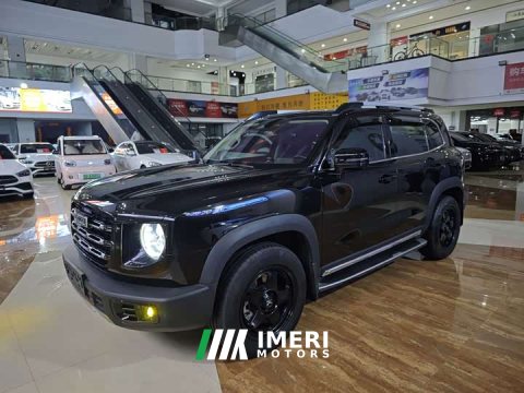 2022 Great Wall Dachshund 2.0T DCT Four-Wheel Drive Chinese Rural Dog Edition - ავტომობილი ჩინეთიდან