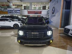 Great Wall Dachshund 2.0T DCT Four-Wheel Drive Chinese Rural Dog Edition - ფოტო 2