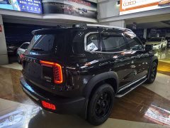 Great Wall Dachshund 2.0T DCT Four-Wheel Drive Chinese Rural Dog Edition - ფოტო 4