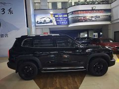Great Wall Dachshund 2.0T DCT Four-Wheel Drive Chinese Rural Dog Edition - ფოტო 5
