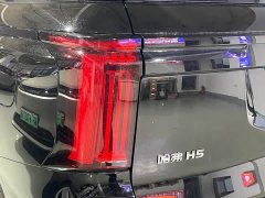 Haval H5 2.0T Automatic Four-Wheel Drive Navigator Gasoline - ფოტო 20