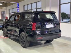 Haval H5 2.0T Automatic Four-Wheel Drive Navigator Gasoline - ფოტო 6