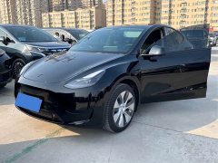 Tesla Model Y Rear-Wheel Drive - ფოტო 1