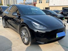 Tesla Model Y Rear-Wheel Drive - ფოტო 2