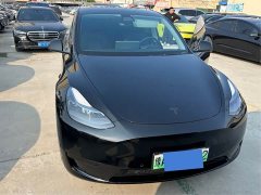 Tesla Model Y Rear-Wheel Drive - ფოტო 3