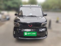 Wuling Zhiguang New Energy 305km Aspiring Edition - ფოტო 2