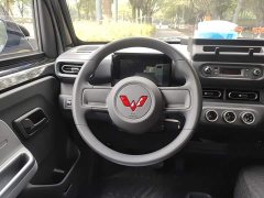 Wuling Zhiguang New Energy 305km Aspiring Edition - ფოტო 6