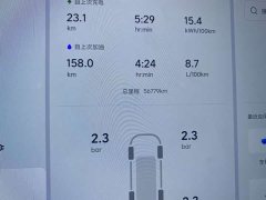 Li Auto L9 Max - ფოტო 12