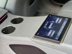 Lotus EMEYA S - ფოტო 15