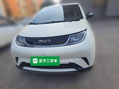 BYD Dolphin 420km Freedom Edition - ფოტო 2
