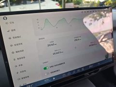 Xpeng P7 Long Range Max - ფოტო 13