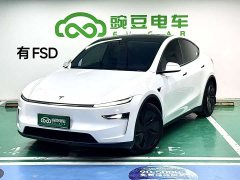 Tesla Model Y Long Range All-Wheel Drive - ფოტო 1