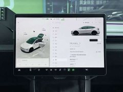 Tesla Model Y Long Range All-Wheel Drive - ფოტო 12