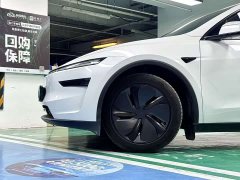 Tesla Model Y Long Range All-Wheel Drive - ფოტო 3