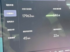 Li Auto L6 Pro - ფოტო 16