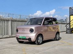 Geely Panda Mini 200km Endurance Edition - ფოტო 1