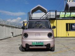 Geely Panda Mini 200km Endurance Edition - ფოტო 2