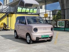 Geely Panda Mini 200km Endurance Edition - ფოტო 3