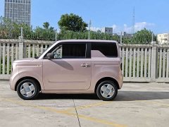 Geely Panda Mini 200km Endurance Edition - ფოტო 4