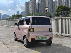 Geely Panda Mini 200km Endurance Edition - ფოტო 5