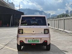 Geely Panda Mini 200km Endurance Edition - ფოტო 6