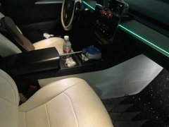 Tesla Model Y Rear-Wheel Drive - ფოტო 4