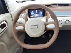 FAW Besturn Xiaoma 222km Shining Edition - ფოტო 15