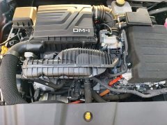 BYD Qin PLUS Glory Edition DM-i 55KM Leading - ფოტო 16