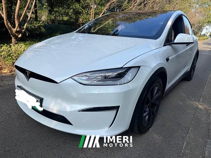 Tesla Model X Dual Motor All-Wheel Drive - ავტომობილი ჩინეთიდან