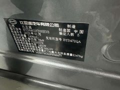 BYD Song Pro New Energy DM-i 110km Flagship Pro - ფოტო 18