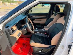 Geely ICON 1.5TD Chocolate Elegant Edition - ფოტო 12