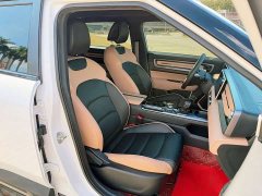 Geely ICON 1.5TD Chocolate Elegant Edition - ფოტო 15