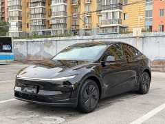 Tesla Model Y Rear-Wheel Drive - ფოტო 1