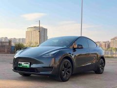 Tesla Model Y Rear-Wheel Drive - ფოტო 1