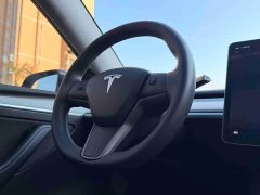 Tesla Model Y Rear-Wheel Drive - ფოტო 13