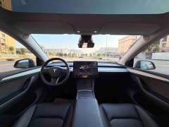 Tesla Model Y Rear-Wheel Drive - ფოტო 17