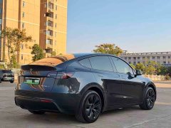 Tesla Model Y Rear-Wheel Drive - ფოტო 3