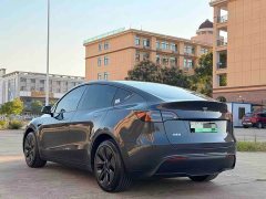 Tesla Model Y Rear-Wheel Drive - ფოტო 6