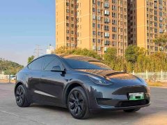 Tesla Model Y Rear-Wheel Drive - ფოტო 9